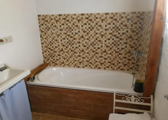 Traditionelles Flieder Zalaszentgrót