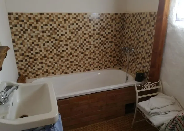 Traditionelles Flieder Dom wakacyjny